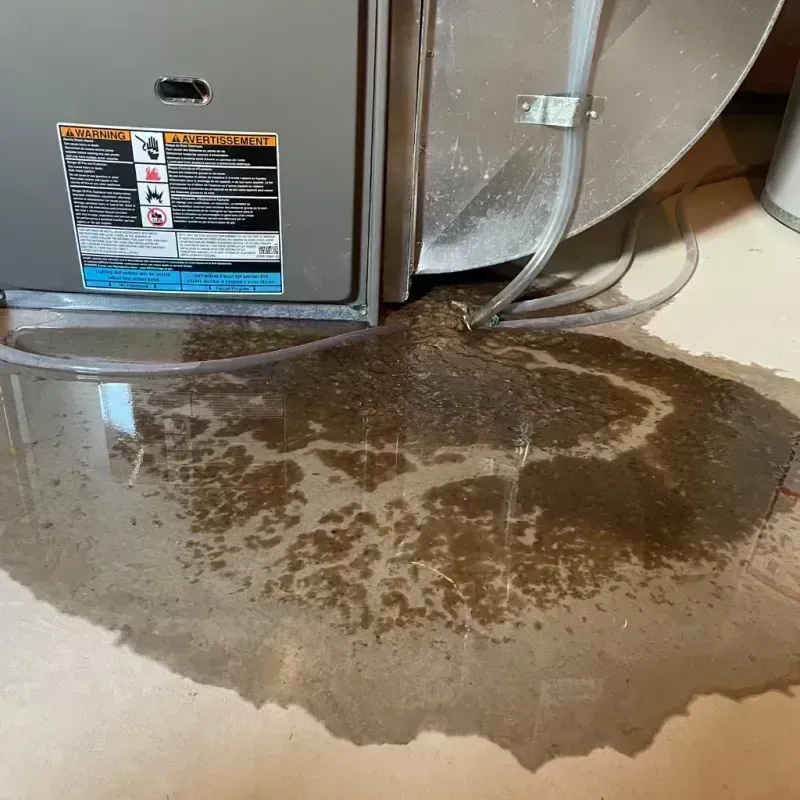 Appliance Leak Cleanup in Estes Park, CO